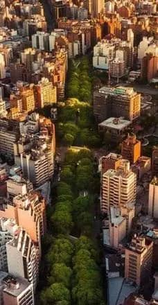 Calle arbolada de la ciudad de Córdoba